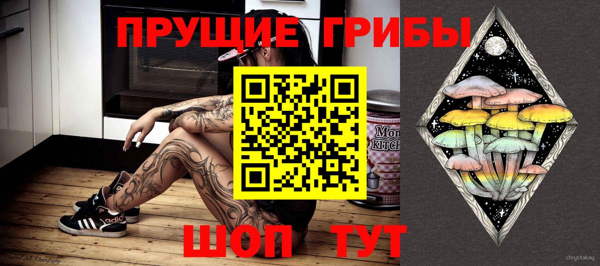 Псилоцибиновые грибы мицелий Рузаевка
