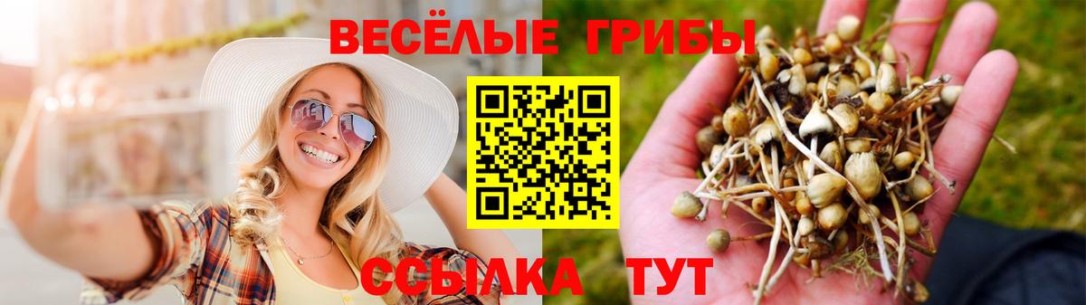 Рузаевка  наркотики  Вход с VPN  Галлюциногенные грибы ЛСД 